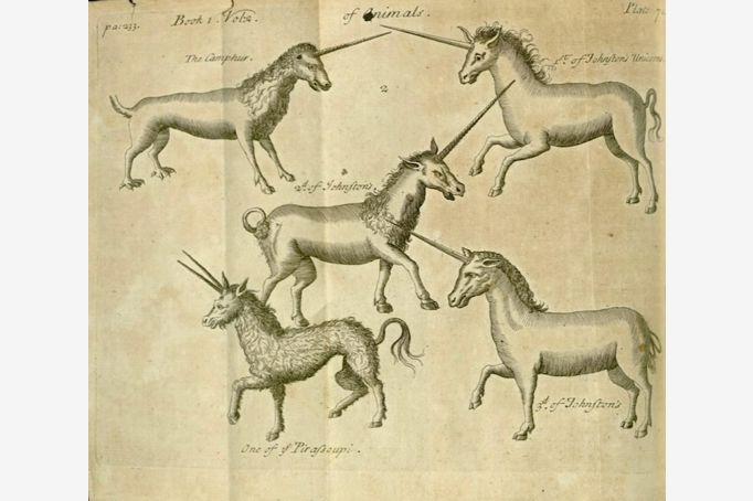 “A Compleat History of Druggs” by French pharmacist Pierre Pomet, 1712