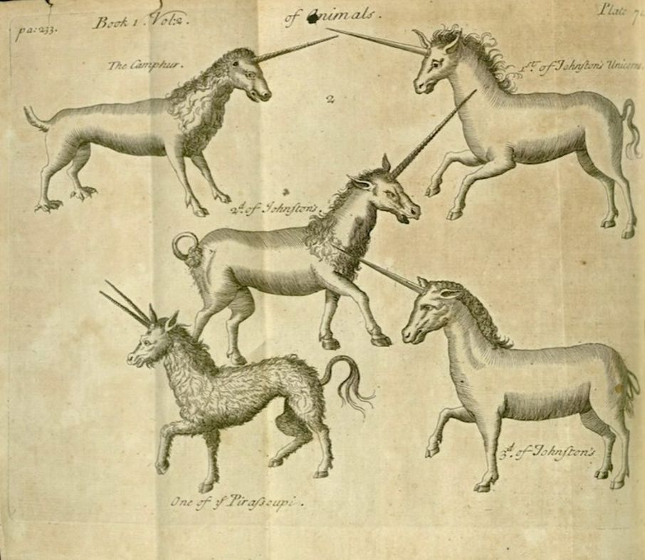 “A Compleat History of Druggs” by French pharmacist Pierre Pomet, 1712