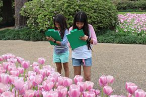 Detective Days at Bayou Bend