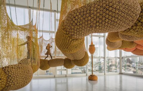 Ernesto Neto, Life is a body we are part of/Madness is part of Life