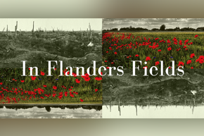 In Flanders Fields