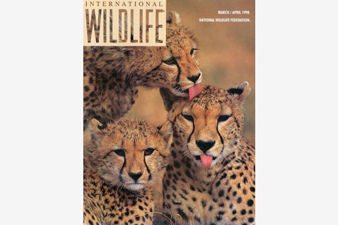 Int'l Wildlife magazine