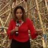 “Big Bambú”: Fine Art You Can Climb!—KTRK-TV (ABC Channel 13), August 4, 2018