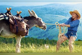 French Film Festival | My Donkey, My Lover & I