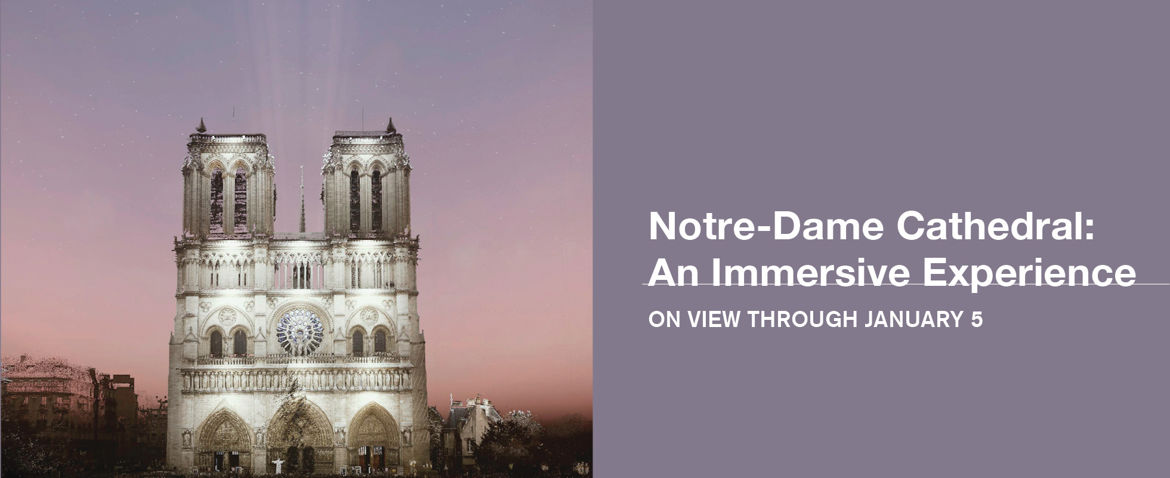 Notre-Dame Cathedral: An Immersive Experience