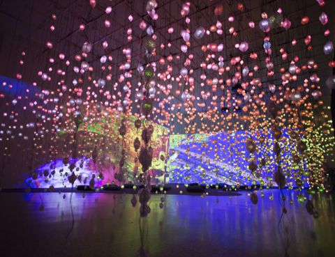 Pipilotti Rist: Pixel Forest and Worry Will Vanish