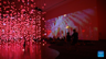 Pipilotti Rist: Pixel Forest and Worry Will Vanish