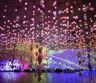 Pipilotti Rist: Pixel Forest