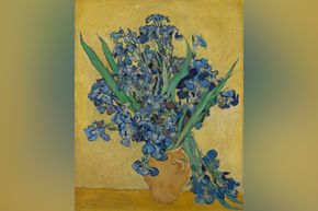 van Gogh - Irises (van Gogh Museum)