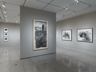 William Kentridge: In Praise of Shadows